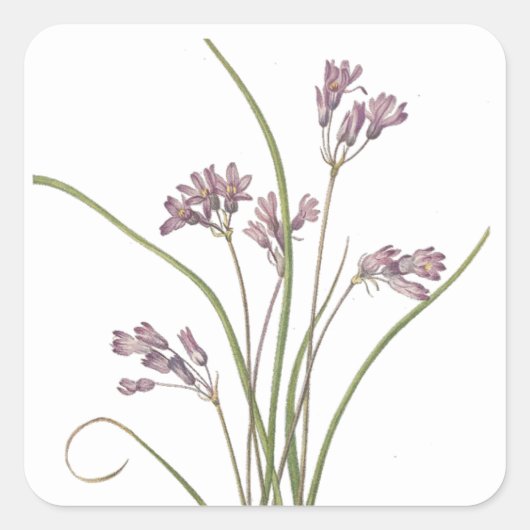 Aufkleber für Wildblumen (Vorderseite)