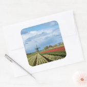 Aufkleber für Windmühle und Tulpen (Umschlag)