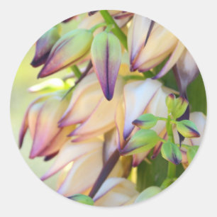 Aufkleber für Yucca-Blume