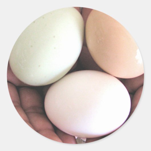 Aufkleber, handgeschweißte Eier, Foto Art Runder Aufkleber (Vorderseite)