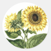 Aufkleber Heirloom Sonnenblume Botanische Blume (Vorderseite)