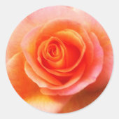 Aufkleber "Herz der Rose" (Vorderseite)