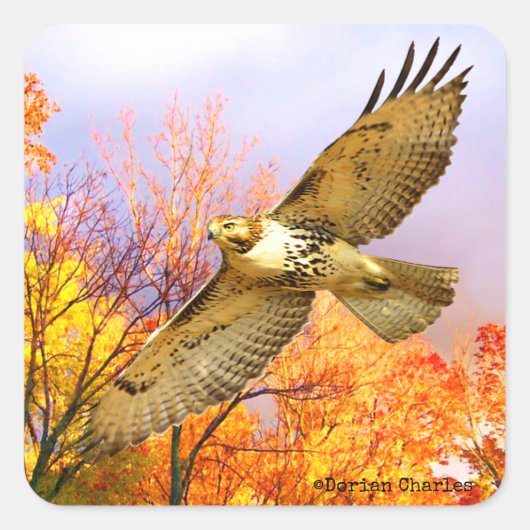 Aufkleber "Hoher Flyer" (Vorderseite)