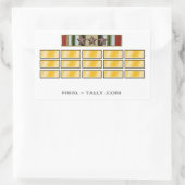 Aufkleber Irak 15 Monate mit 3 Kampagne Star (Tasche)