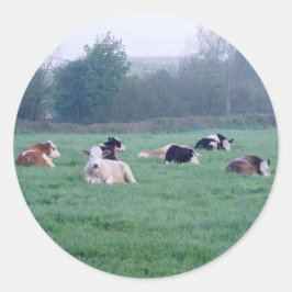 Aufkleber - Kühe - farbig