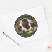 Aufkleber Kun und Vir (Umschlag)