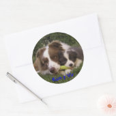 Aufkleber Kun und Vir (Umschlag)