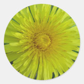 Aufkleber - Lüster (Vorderseite)