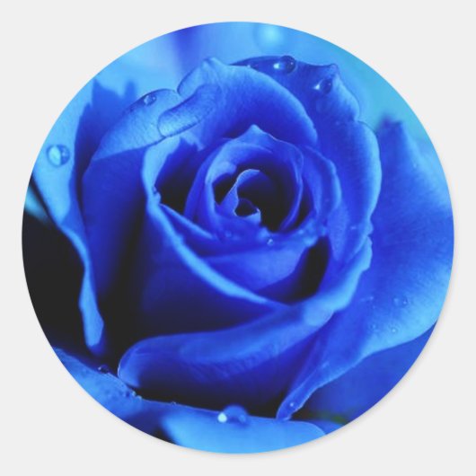 Aufkleber mit blauer Rose (Vorderseite)