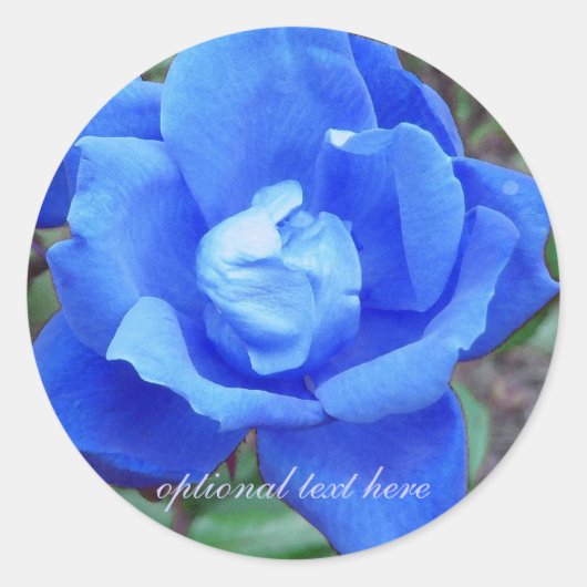 Aufkleber mit blauer Rose (Vorderseite)