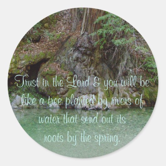 Aufkleber mit Foto eines Baumes an einem Fluss (Vorderseite)