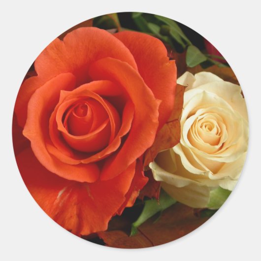 Aufkleber mit mehreren Rose (Vorderseite)