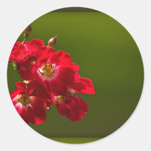 Aufkleber mit roter Blume