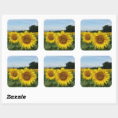 Aufkleber mit Sonnenblumenfeld (Blatt)