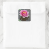 Aufkleber mit Wasserliliendesign (Tasche)