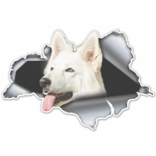 Aufkleber mit weißem Spitz, Autodekor, Spitz (Vorderseite)