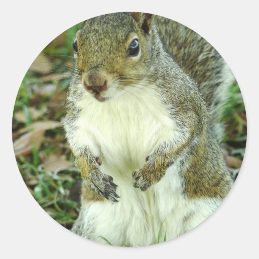 Aufkleber ohne Titel (Vorderseite)