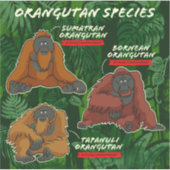 Aufkleber "Orangutan Species" (Vorderseite)