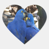 Aufkleber _ Papageien _ Kuss (Vorderseite)