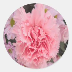 Aufkleber Pink Carnation Beauty