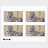 Aufkleber rechteckig, Tiger (Blatt)