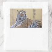 Aufkleber rechteckig, Tiger (Tasche)