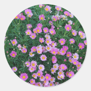 Aufkleber-Rosa Blume Runder Aufkleber