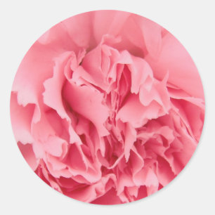 Aufkleber Rosa Karton Nah