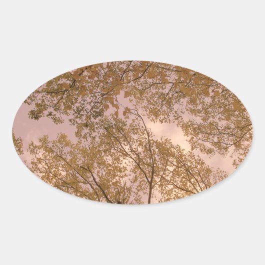 Aufkleber "Rose Herbst" (Vorderseite)