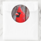 Aufkleber, Roter Kardinal, "Lächeln des Chippers" Runder Aufkleber (Tasche)