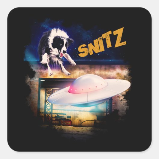 Aufkleber Snitz von Bobs Saucer Repair (Vorderseite)