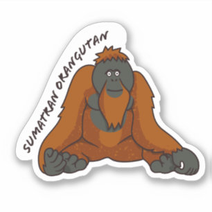 Aufkleber "Sumatran Orangutan"