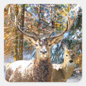 Aufkleber "tief im Wald" (Vorderseite)