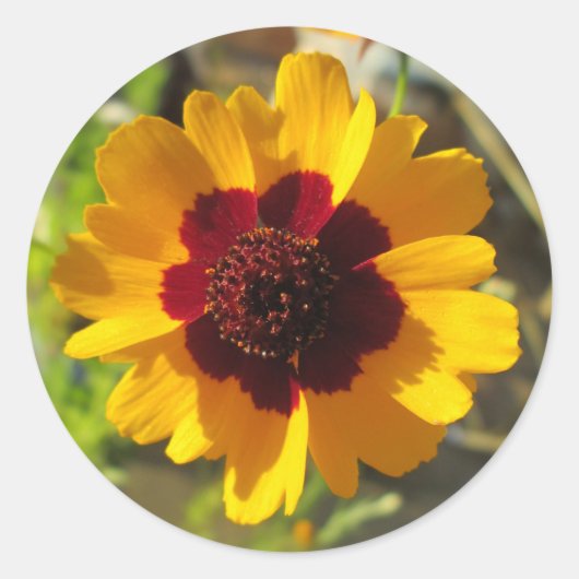 Aufkleber - unbedruckte Blume (Vorderseite)