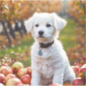 Aufkleber und Etiketten (Vorderseite)