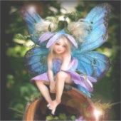 Aufkleber und Etiketten (Vorderseite)