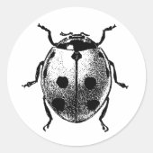 Aufkleber Vintage-Bild Marienkäfer 20 pro Blatt (Vorderseite)