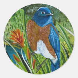 Aufkleber "Western Bluebird"