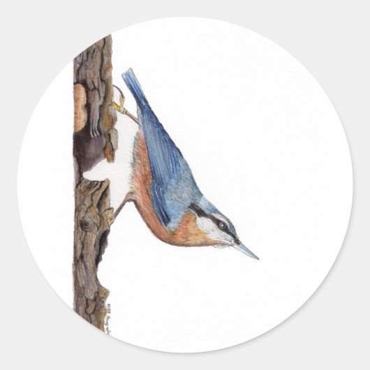 Aufkleber "Wood Nuthatch Bird" (Sitta Europaea) (Vorderseite)
