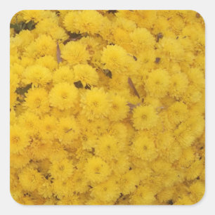 Aufkleber "Yellow Mums"