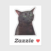 Aufkleber Zoned Out Cat Meme (Blatt)
