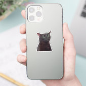 Aufkleber Zoned Out Cat Meme (Telefon)