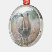 AufladenNashorn Silbernes Ornament (Links)