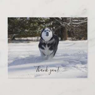 Aufladung durch Dankeschön-Postkarte Postkarte
