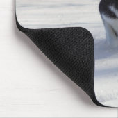 Aufladung Mousepad (Ecke)