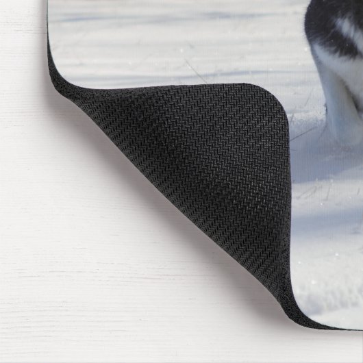 Aufladung Mousepad (Ecke)