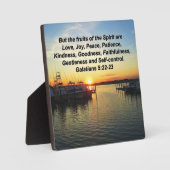 AUFLAGERUNG VON SONNENFRÜCHTEN DER SPIRITT-DESIGN FOTOPLATTE (Vorderseite)