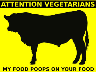 Lustige Spruche Uber Vegetarier Geschenke Zazzle De
