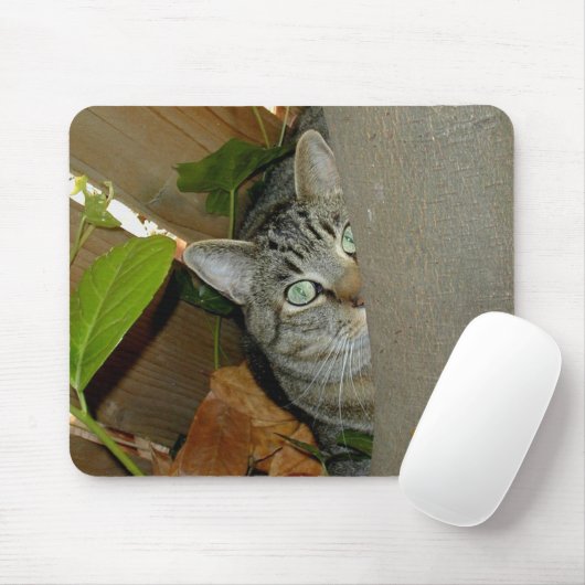 Aufpassen Ihrer Maus Mousepad (Mit Mouse)