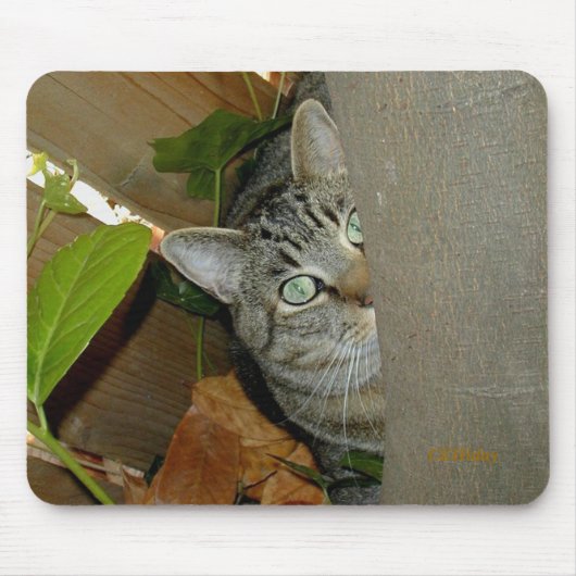 Aufpassen Ihrer Maus Mousepad (Vorne)